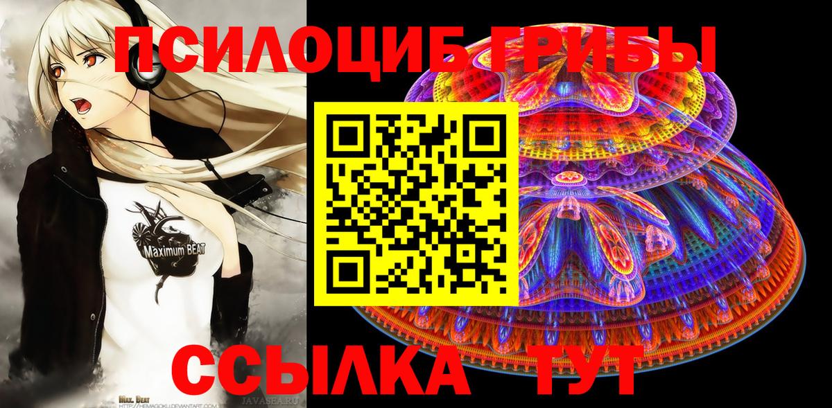 Псилоцибиновые грибы GOLDEN TEACHER Усть-Илимск