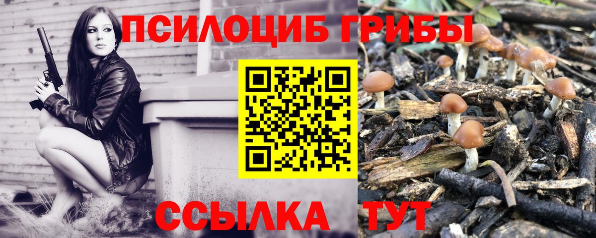 Усть-Илимск  Галлюциногенные грибы мухоморы  Псилоцибиновые грибы ЛСД  Вход с VPN 
